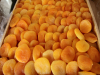 dried apricot