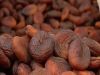 dried apricot