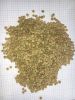 lentils green