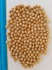 chickpeas in Ukraine