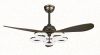 Modern Ceiling Fans with Lamp