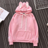 BOYS HOODED SWEAT SHIRT