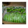  Quality Fresh Cavendish  Banana  For Export