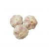 sell 2021 south africa fresh garlic fresh chinese 5.0-5.5cm for sale normal white in bulk Wholesale Fresh vegetables 3p red garlic