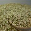 New crop Sweet Buckwheat grain raw buck wheat buckwheat kernels