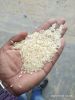 Premium Quality Indian Long Grain Parboiled IR 64 Parboiled Rice Non-Basmati Organic Rice 5% Broken Available in 10/25/50kg Bags