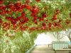 High quality hot sale Hybrid F1 tree tomato seeds George F1