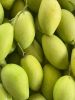 High Quality Green Or Yellow Color Made In South Africa Tropical Fruit Size 8cm Best Selling Fresh Mango