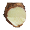 High Quality Year-around Common Whole Washed Clean Plump White Yellow Round Fresh Taro Root Exported From South Africa