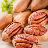 Pecan nuts kernels seeds halves dry natural whole dried jumbo size in shell baking material