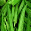 Fresh Okra Lady Finger /Fresh Green Okra/Okro for Sale