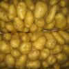 20kg-50kg Per Bag Good Quality Low Price Yellow Organic Fresh Diamond Potato For Export