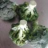 Fresh Broccoli Vegetables With High Quality Box Packing For Sale GAP HACCP Certificated South African Organic Broccoli Low Price