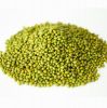 Wholesale Premium Agriculture Organic Dried Mung Bean Sprouts Mung Green Beans