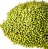 Wholesale Premium Agriculture Organic Dried Mung Bean Sprouts Mung Green Beans