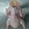 FROZEN WHOLE DUCK WITHOUT HEAD&NECK POULTRY MEAT