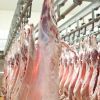 Top Quality Halal Fresh / Frozen Sheep / Goat / Lamb Meat / Carcass For Wholesale