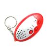 LED Voice Recorder Keychain