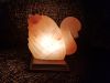 Himalayan pink salt lamps