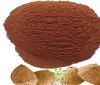 Coconut Shell Powder