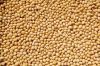 Non-GMO soybeans