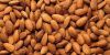 Grade A Almond Nuts / Raw Natural Almond Nuts