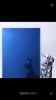 3mm4mm5mm6mm8mm10mm12mmtinted glass/float glass for construction glass and decorative glass materials