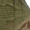 Rhodes Grass Hay Bales...