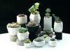Ceramic Flower Pots Wholesale Pottery- Small Planter - Small Plant Pot - Planters Home - Indoor Pots