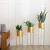 Black and Gold Iron Planters