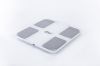 Multi Frequency BMI impedance Segmental body fat analyzer/body composition analyzer