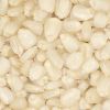 White Corn