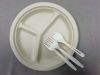 Compostable 9/10 inch plates Biodegradable natural-pulp three compartments Plate