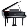 self playing spyker HD-152 grand digital piano