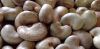Dried Raw Cashew Nuts,...