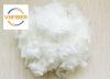 Polyester staple fiber...