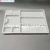 Dental Disposable Plastic Pallets Tray Segregated Placed Small and Large Dental Instruments Tray