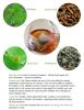 28 Days Detox Flat Tum...