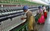 Carded Cotton Yarn