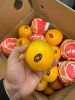 fresh orange