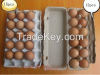 egg tray/egg carton/eg...