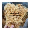 BROWN SEA MOSS NO SALT LOW MOISTURE / SPINOSUM EUCHEUMA COTTONII SEAWEED 0084817092069 WA