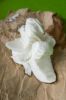 vegetable fat / palm o...