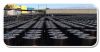 bitumen
