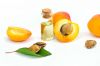 Apricot Seed Oil
