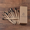 Herbal Biodegradable B...