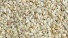 Sorted Sesame Seeds