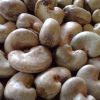 Indonesia Raw Cashew Nut In Shell