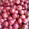 Indonesia Red Shallot