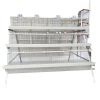 High quality wire mesh chicken cages with automatic chicken feeding system